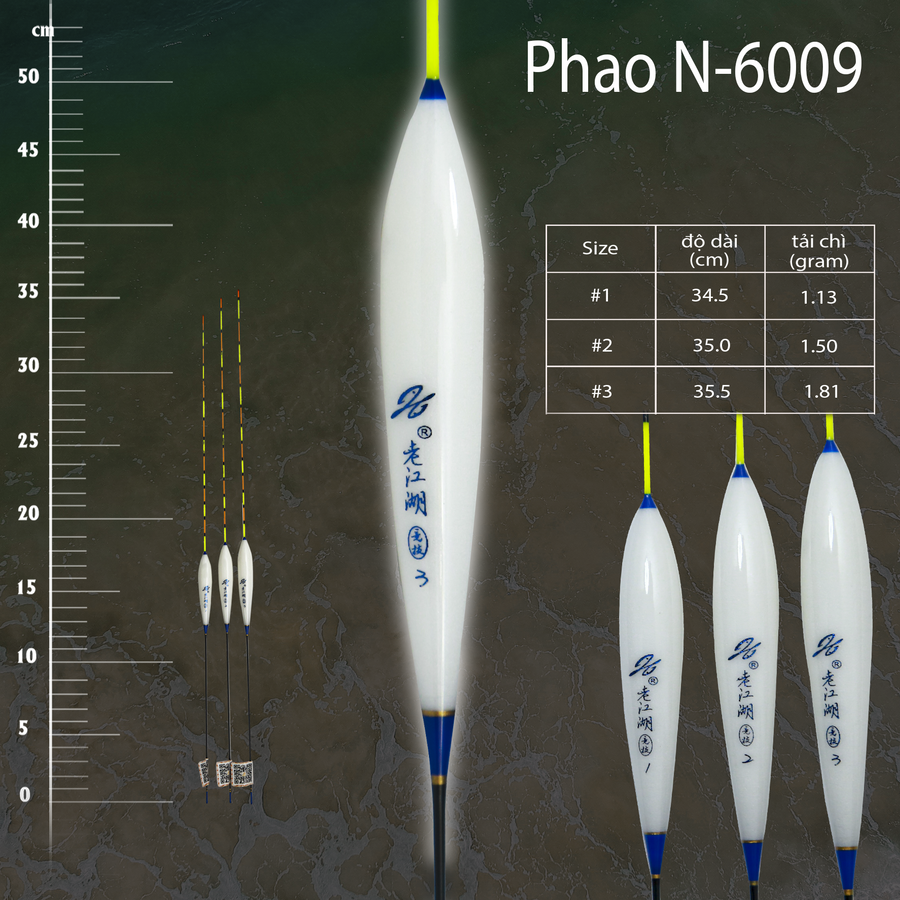 Phao Kim Đỉnh N-6009